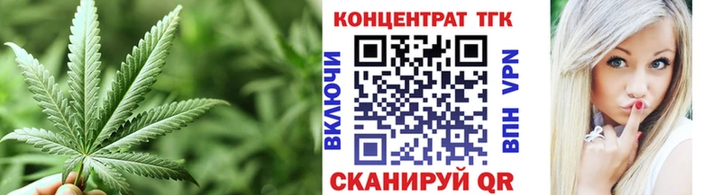 Купить где  Западная Двина  ТГК концентрат 