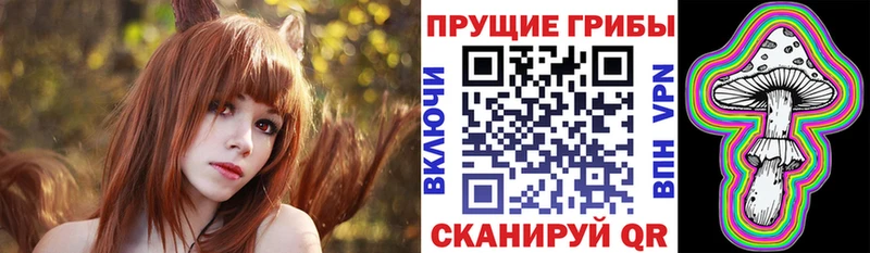 Галлюциногенные грибы Cubensis  Купить  Западная Двина 