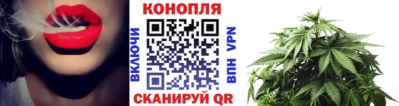 Купить где  Западная Двина  Марихуана планчик 